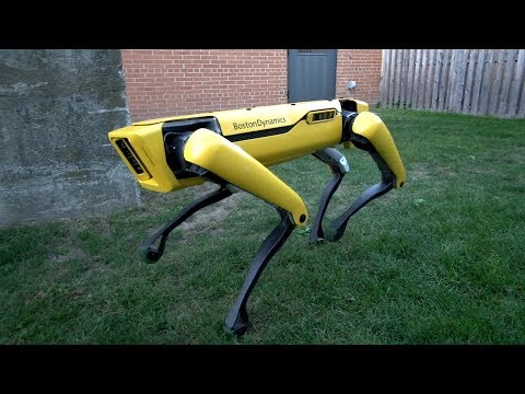Фото - Видео: новейший робот Boston Dynamics выглядит менее пугающе»