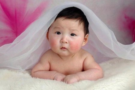 Фото - В Китае малыш появился на свет спустя четыре года после смерти родителей