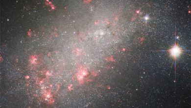 Фото - Фото дня: карликовая галактика-изгой в созвездии Овна