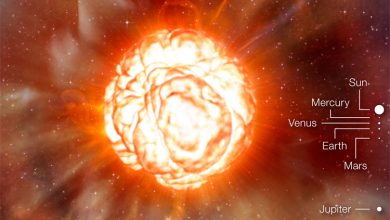 Фото - Наблюдения «Хаббла» показывают восстановление Бетельгейзе поле титанического выброса массы, но внутри звезда «гудит как колокол»