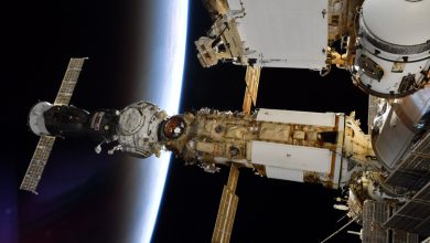 Фото - Российские космонавты вчера совершили выход в открытый космос, и он пошёл не по плану