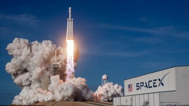 Фото - Суд США поддержал план SpaceX по выводу спутников Starlink на низкую орбиту