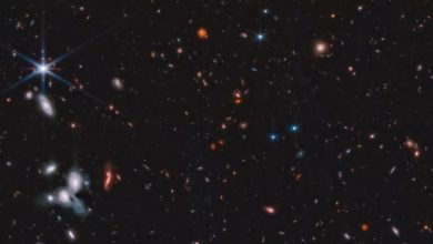 Фото - Телескоп «Джеймс Уэбб» запечатлел множество галактик на самом большом снимке космоса